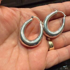 Elegant Silver Hoop Earrings
